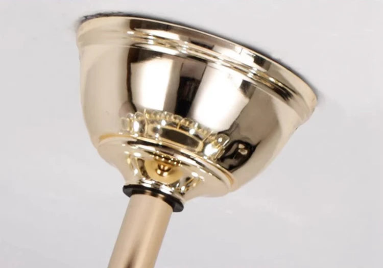 Remote Control Ceiling Fan With LED Light / Ruchi