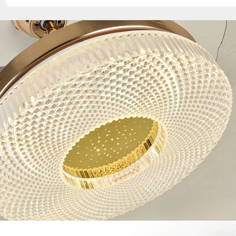Modern Remote Control LED Ceiling Fan Light / Ruchi