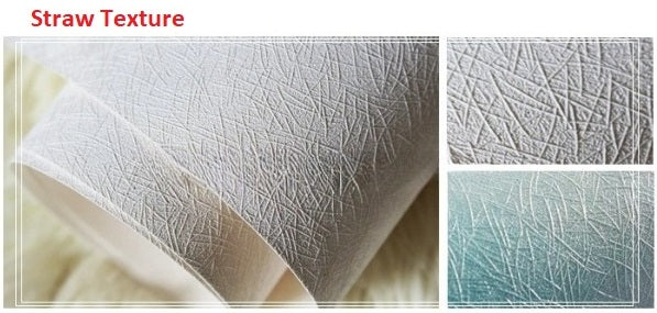 Modern Feather Design 3D Wallpaper For Home / Ruchi