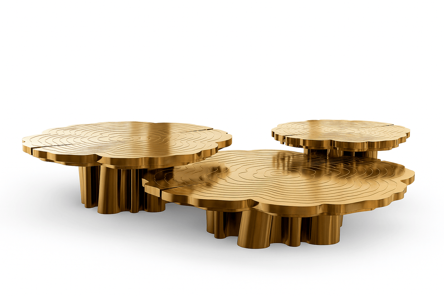 3 Piece Luxury Metal Coffee Table / Ruchi