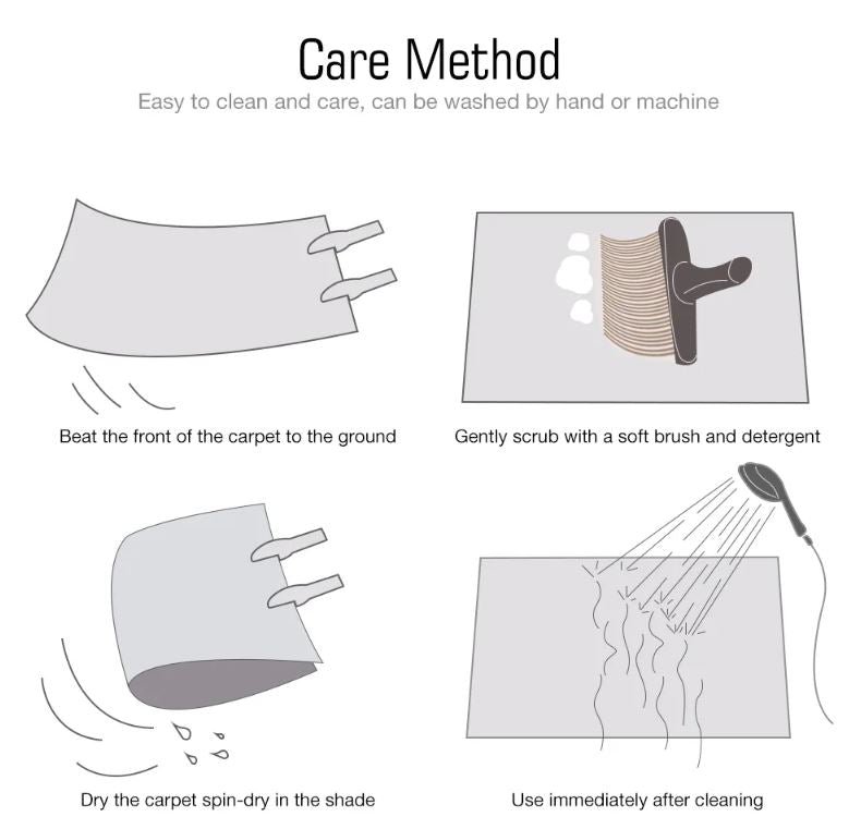 Cashmere Area Rug For Living Room / Ruchi