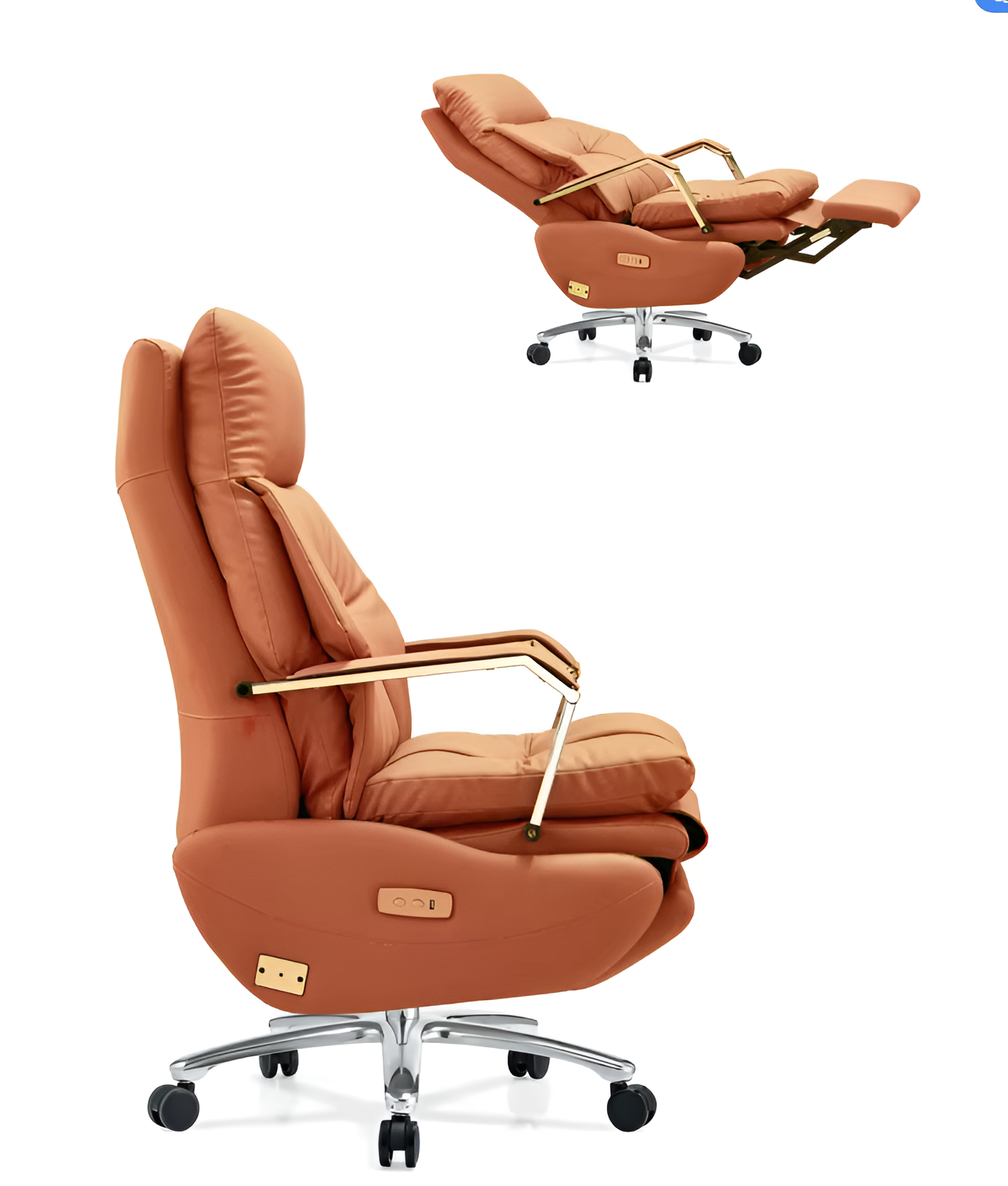 Modern Recliner Leather Office Chair / Ruchi