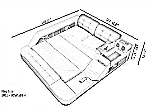 Fabric Upholstered Multifunctional Smart Bed With Storage / Ruchi