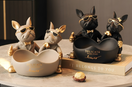 The Ultimate Home Gifting Guide: Stylish Décor Items Everyone Loves