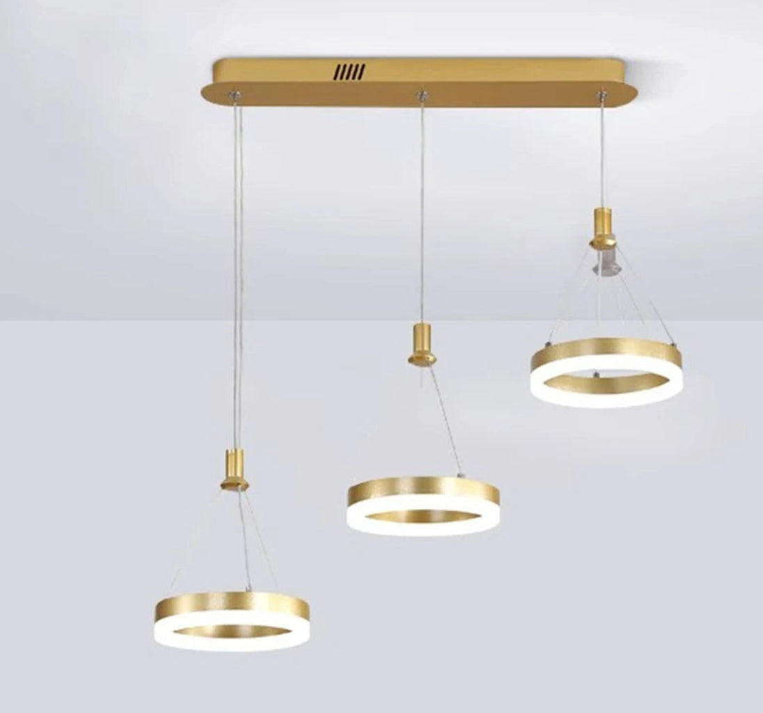 LED Remote Control Pendant Light Fixture / Ruchi