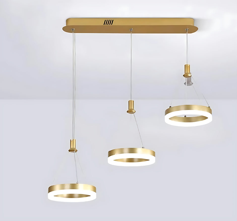 LED Remote Control Pendant Light Fixture / Ruchi