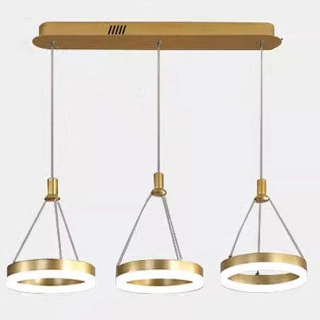 LED Remote Control Pendant Light Fixture / Ruchi