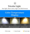 4 Heads LED Modern Pendant Light