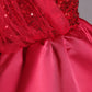 Fashionable Sequins Lace Style Party Dress / Ruchi