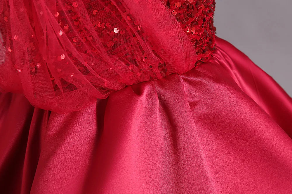Fashionable Sequins Lace Style Party Dress / Ruchi