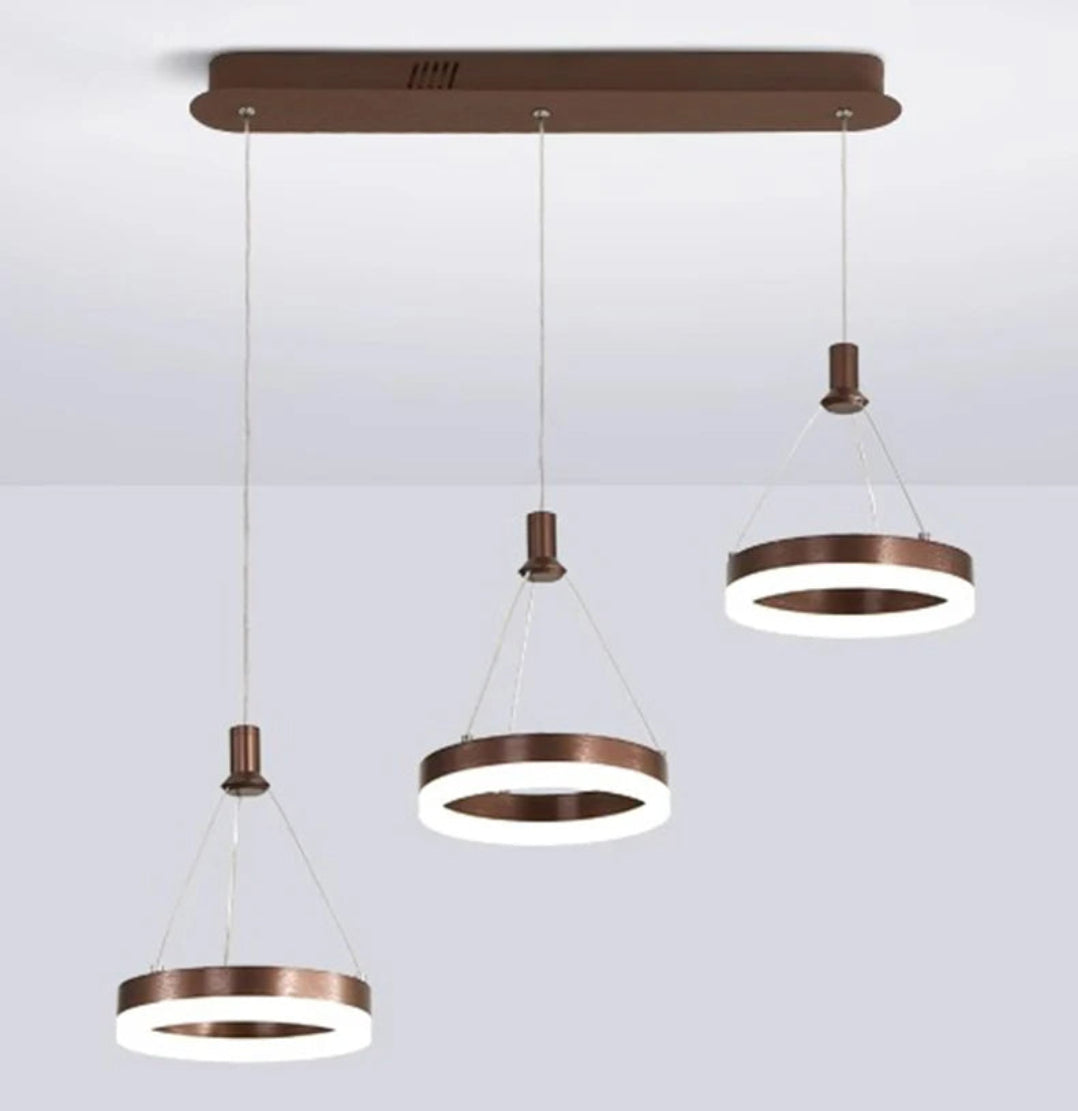 LED Remote Control Pendant Light Fixture / Ruchi