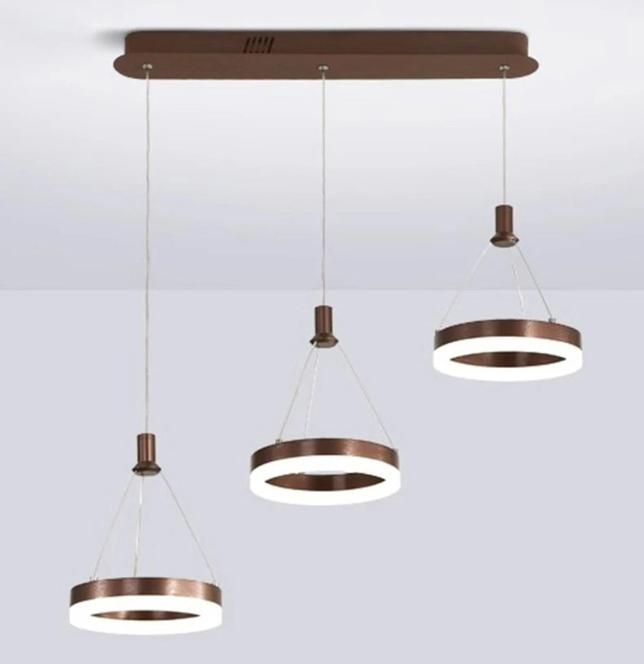 LED Remote Control Pendant Light Fixture / Ruchi