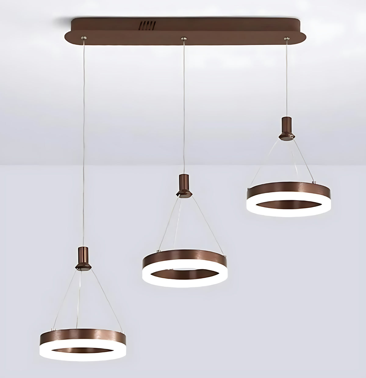 LED Remote Control Pendant Light Fixture / Ruchi