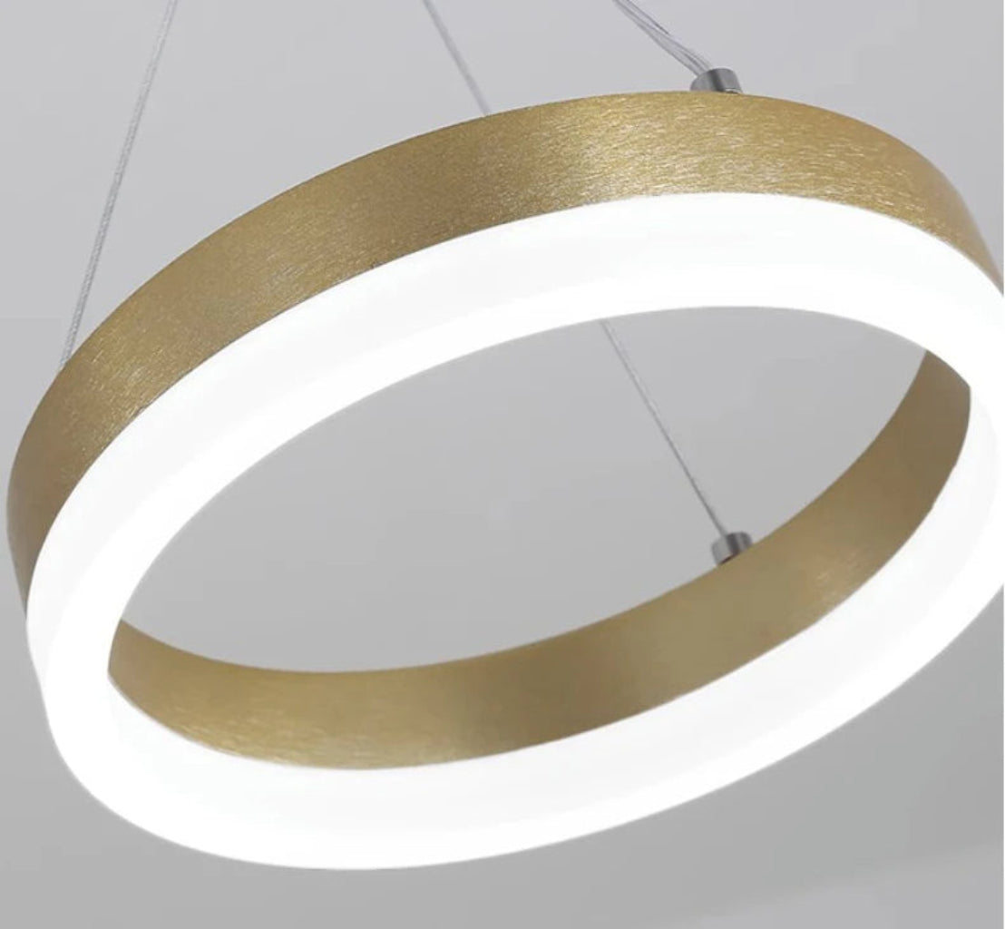 LED Remote Control Pendant Light Fixture / Ruchi