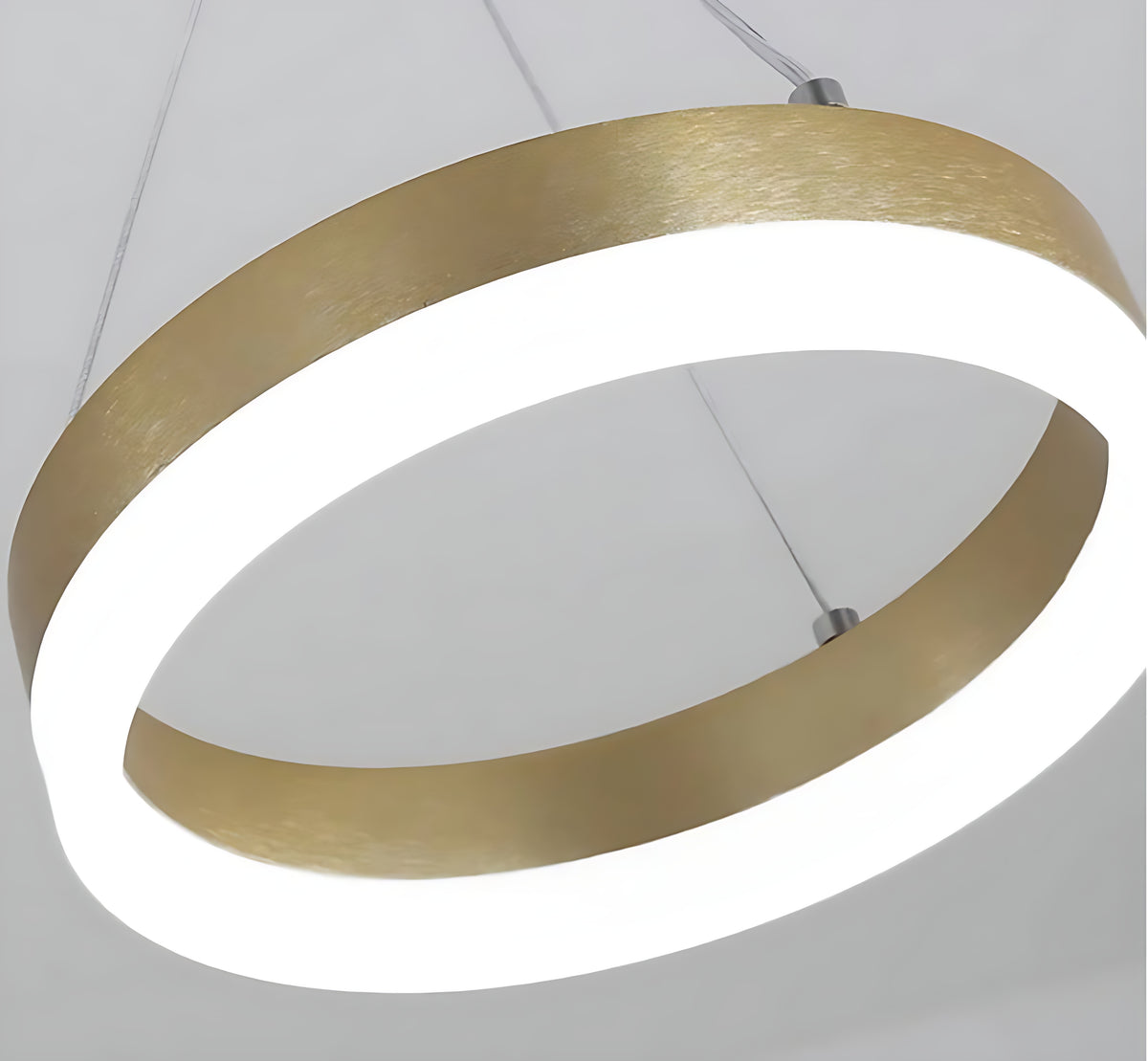 LED Remote Control Pendant Light Fixture / Ruchi