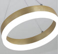 LED Remote Control Pendant Light Fixture / Ruchi
