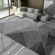 Modern Polyester Fiber Living Room Rug
