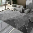 Modern Polyester Fiber Living Room Rug / Ruchi