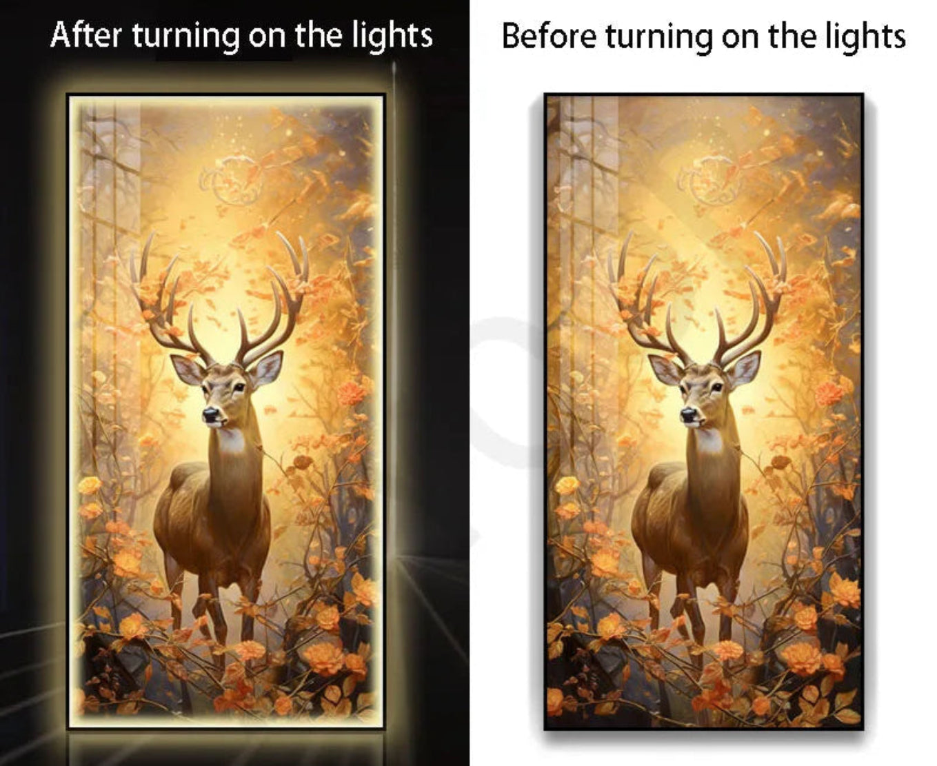 Modern Entrance Wall LED Lamp / Ruchi