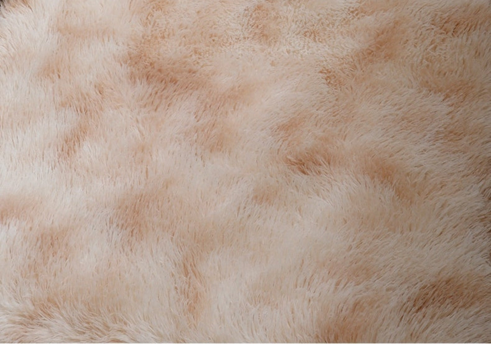 Circular Decorative Area Floor Rug / Ruchi
