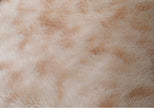 Circular Decorative Area Floor Rug / Ruchi