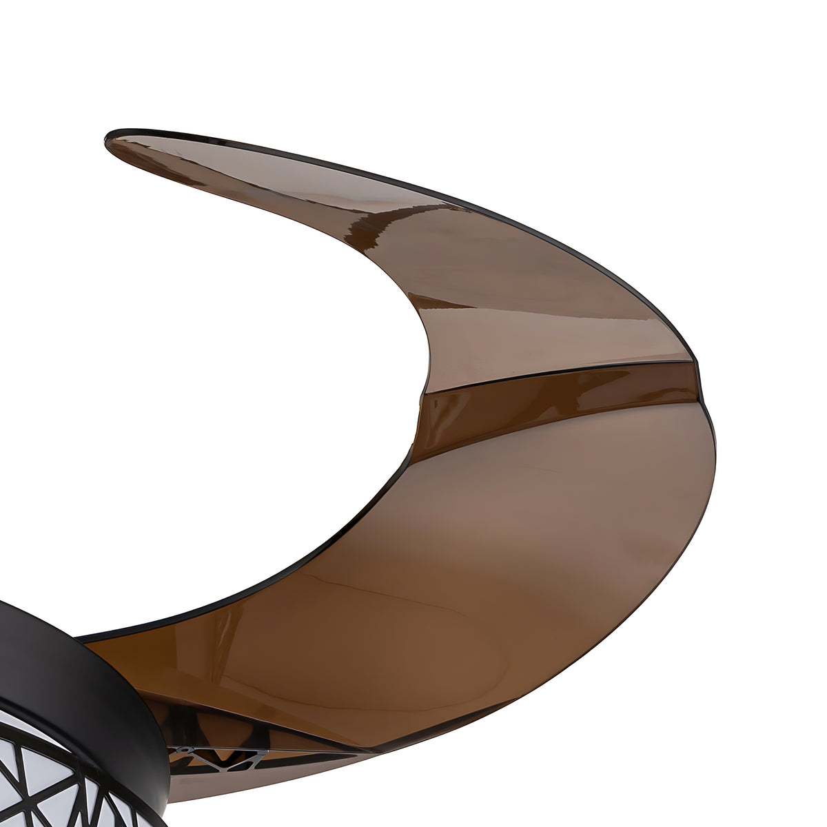 Retractable Ceiling Fan With Light And Remote / Ruchi