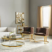 2 Piece Modern Velvet Accent Chairs / Ruchi