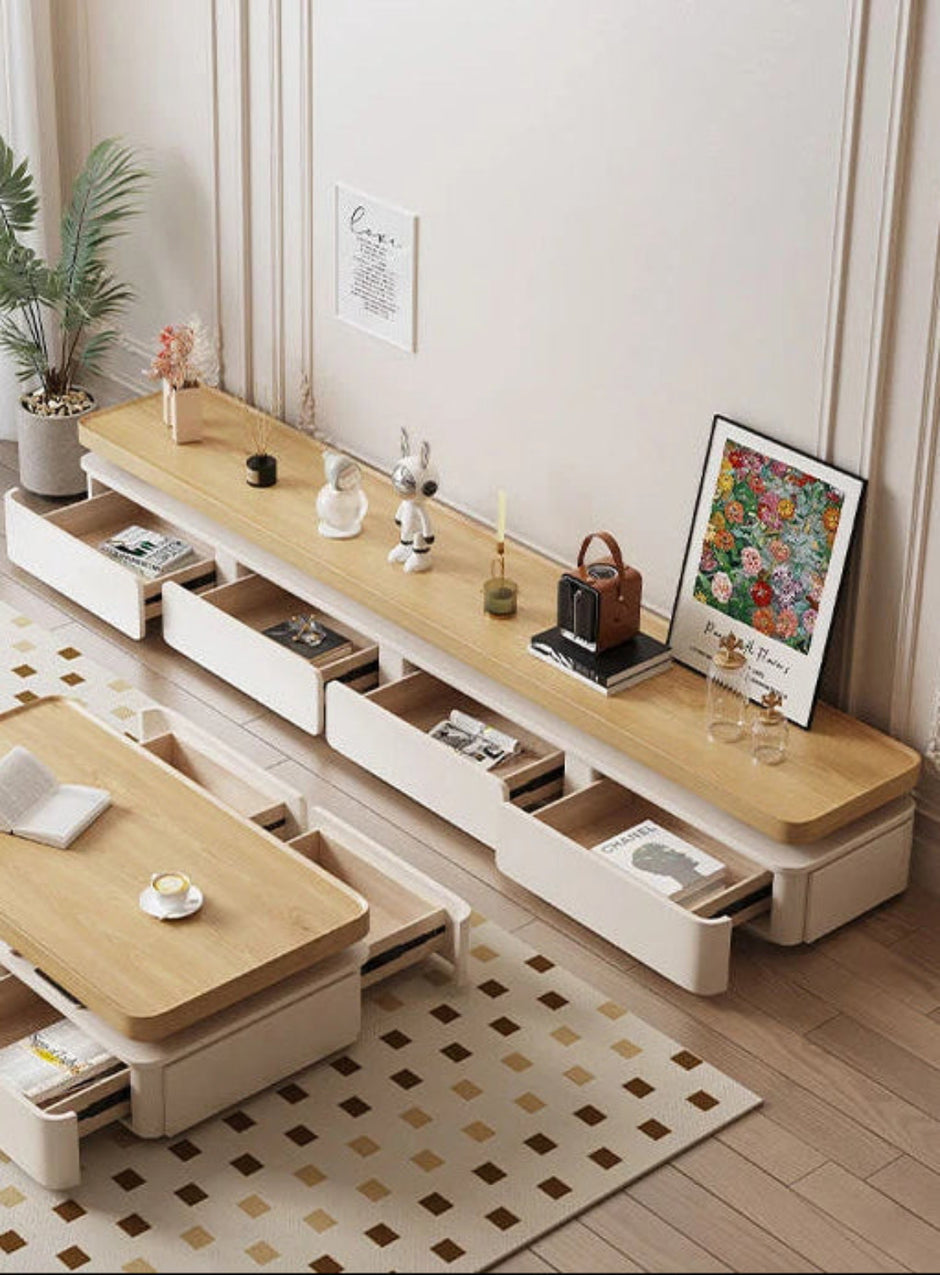 Modern Wooden TV Stand
