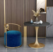 2 Piece Velvet Accent Chairs Set / Ruchi
