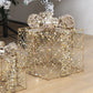 3 Pieces Transparent Christmas Cubical Metal Gift Box / Ruchi