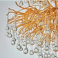 Modern Crystal LED Chandelier For Living Room / Ruchi
