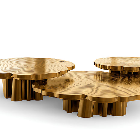 3 Piece Luxury Metal Coffee Table / Ruchi
