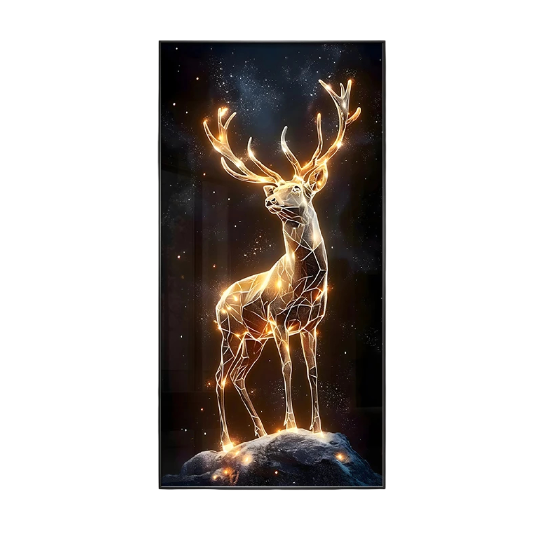 Nature Wall Decor With LED for Entrance / Ruchi