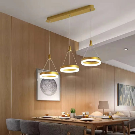 LED Remote Control Pendant Light Fixture / Ruchi
