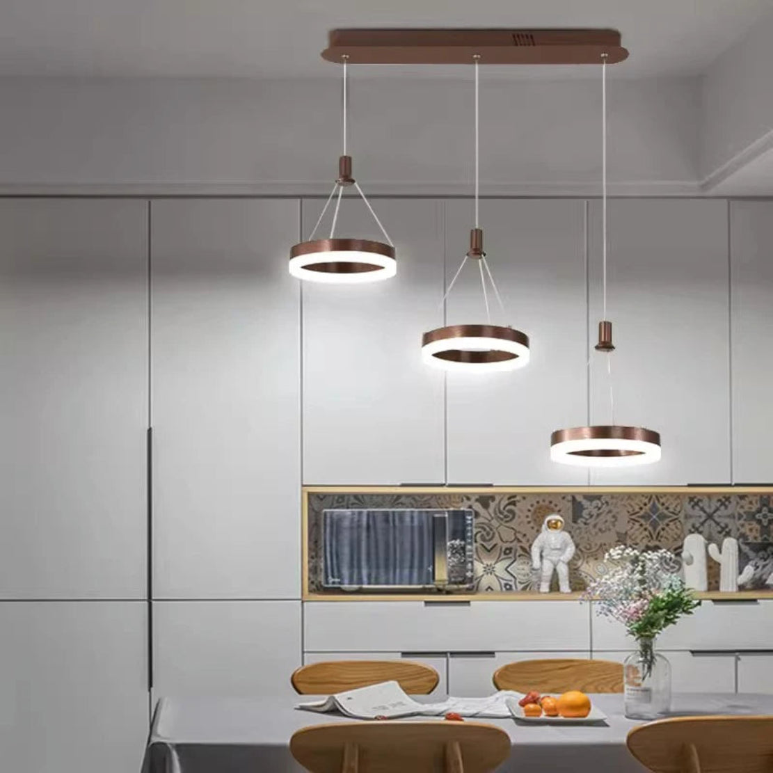 LED Remote Control Pendant Light Fixture / Ruchi