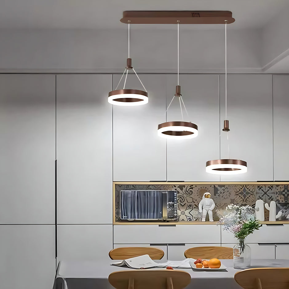 LED Remote Control Pendant Light Fixture / Ruchi