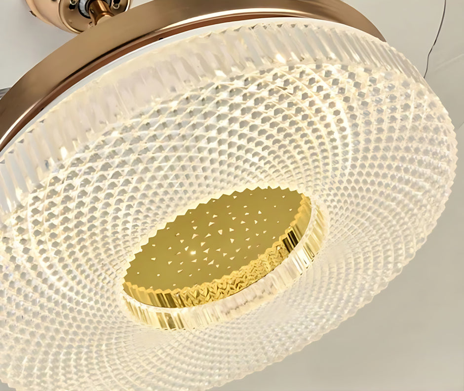 Modern Remote Control LED Ceiling Fan Light / Ruchi