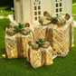 3 Pieces Transparent Christmas Cubical Metal Gift Box / Ruchi