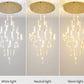Luxurious Modern LED Chandelier / Ruchi