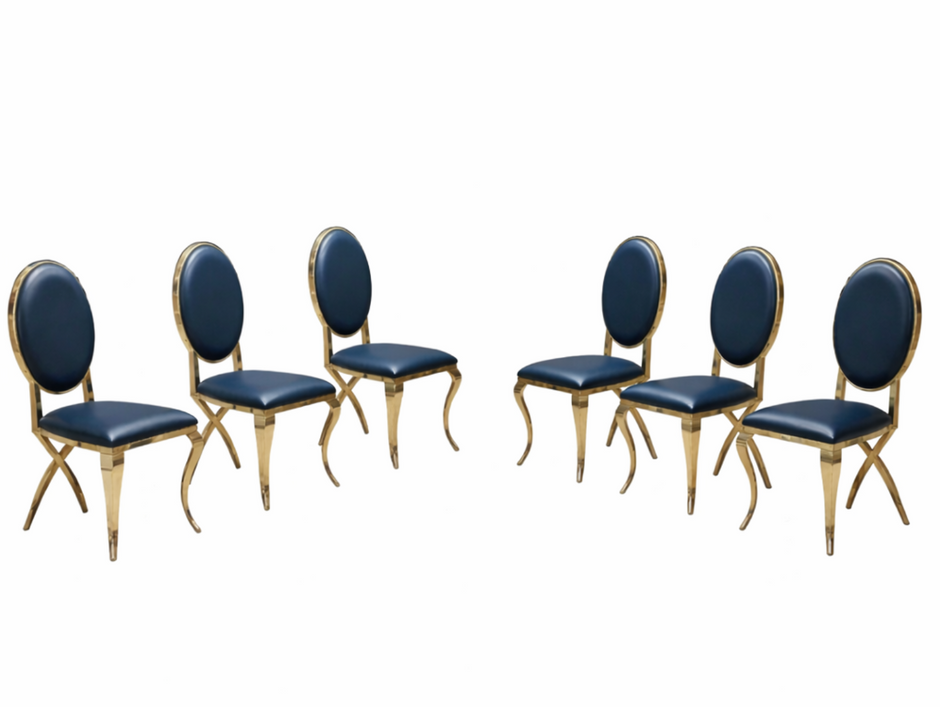 6 Piece Leather Luxurious Dining Chair Set / Ruchi
