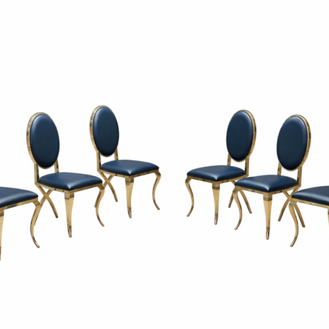 6 Piece Leather Luxurious Dining Chair Set / Ruchi
