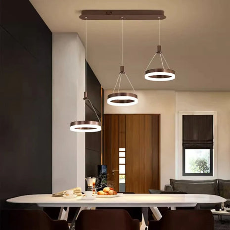 LED Remote Control Pendant Light Fixture / Ruchi