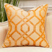 Embroidered Jacquard Pillow Case / Ruchi