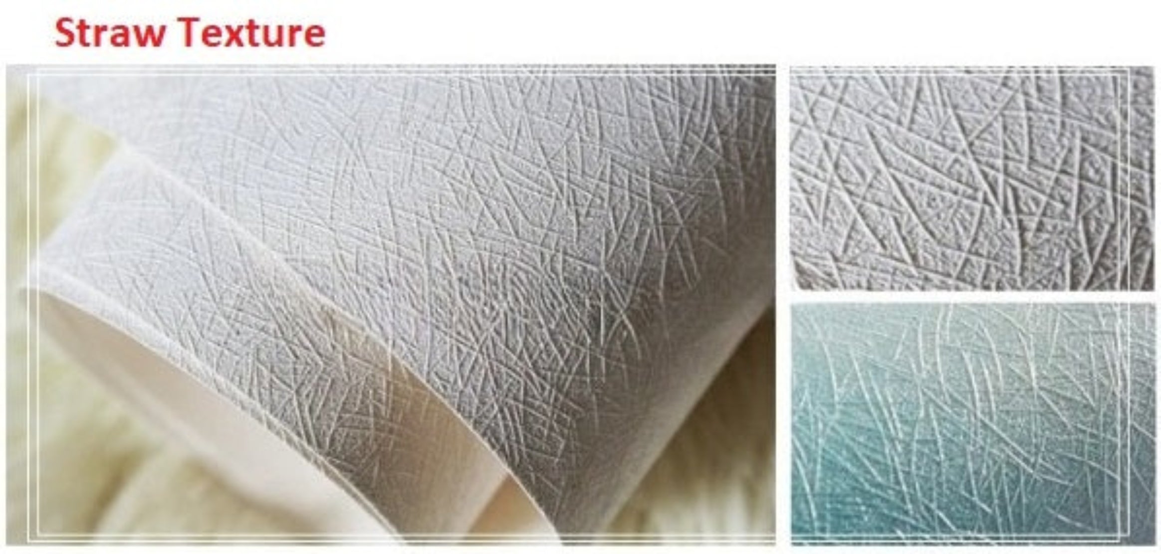 Modern Feather Design 3D Wallpaper For Home / Ruchi