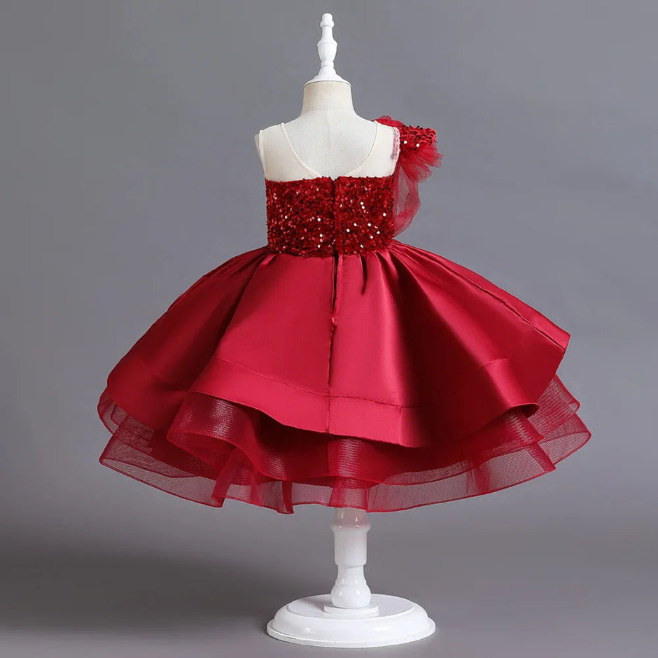 Fashionable Sequins Lace Style Party Dress / Ruchi