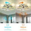 Modern Remote Control Ceiling Fan With LED Light