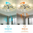 Modern Remote Control Ceiling Fan With LED Light / Ruchi