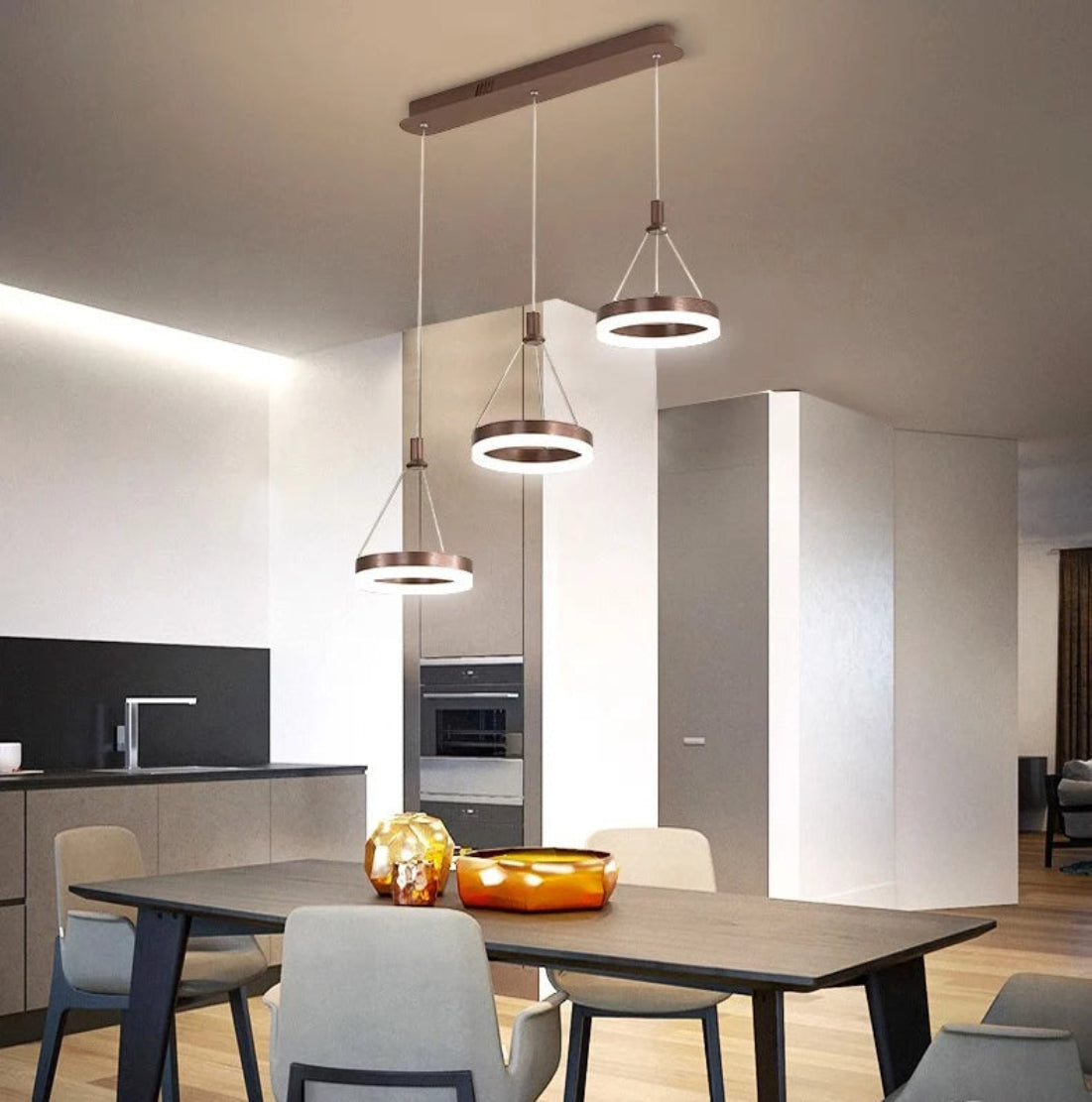 LED Remote Control Pendant Light Fixture / Ruchi