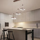 LED Remote Control Pendant Light Fixture / Ruchi