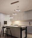 LED Remote Control Pendant Light Fixture / Ruchi